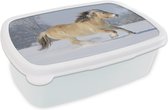 Broodtrommel Wit - Lunchbox - Brooddoos - Fjord paard dat door de sneeuw rent - 18x12x6 cm - Volwassenen