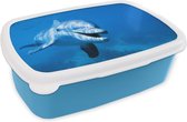 Broodtrommel Blauw - Lunchbox - Brooddoos - Dolfijn - Water - Zee - 18x12x6 cm - Kinderen - Jongen