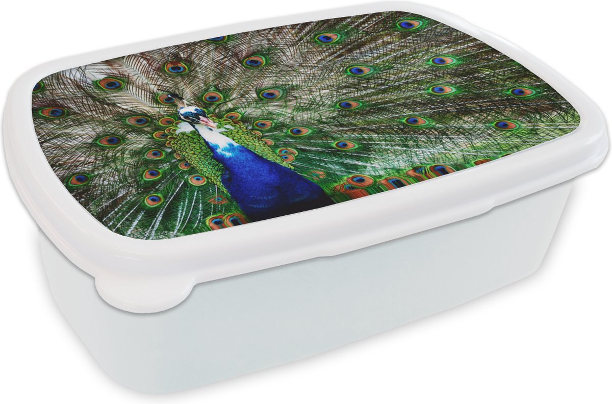 Broodtrommel Wit - Lunchbox - Brooddoos - Pauw - Veren - Wit - Blauw - 18x12x6 cm - Volwassenen