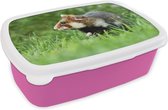 Broodtrommel Roze - Lunchbox - Brooddoos - Hamster die voorzichtig door een grasveld loopt - 18x12x6 cm - Kinderen - Meisje