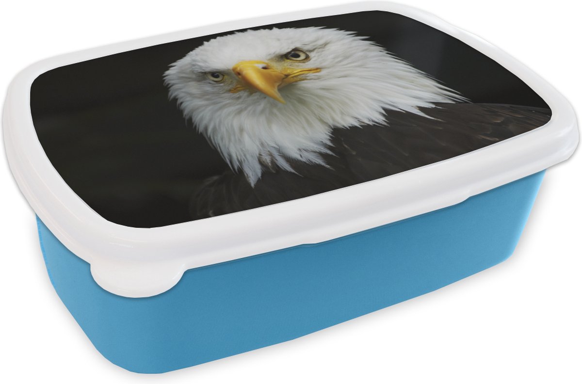 Broodtrommel Blauw - Lunchbox - Brooddoos - Arend - Zwart - Wit - 18x12x6 cm - Kinderen - Jongen