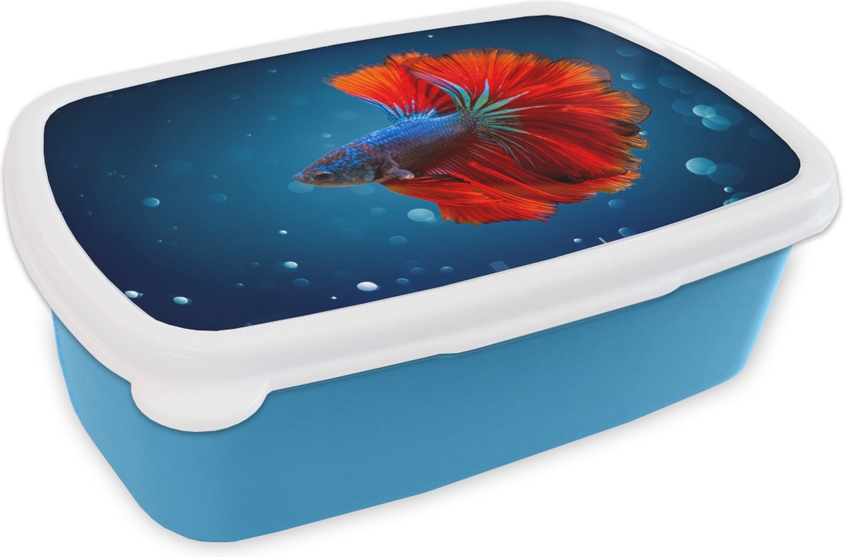 Broodtrommel Blauw - Lunchbox - Brooddoos - Vis - Water - Rood - 18x12x6 cm - Kinderen - Jongen