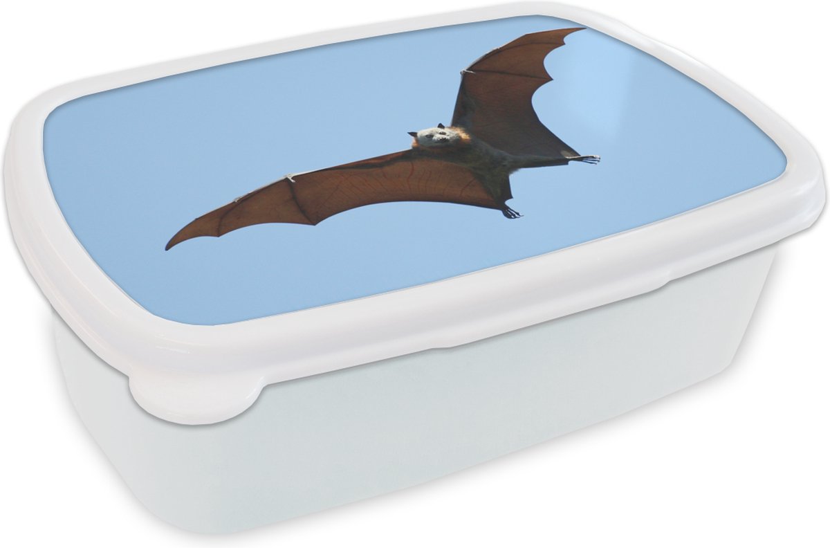 Broodtrommel Wit - Lunchbox - Brooddoos - Vleermuis - Lucht - Vleugel - 18x12x6 cm - Volwassenen