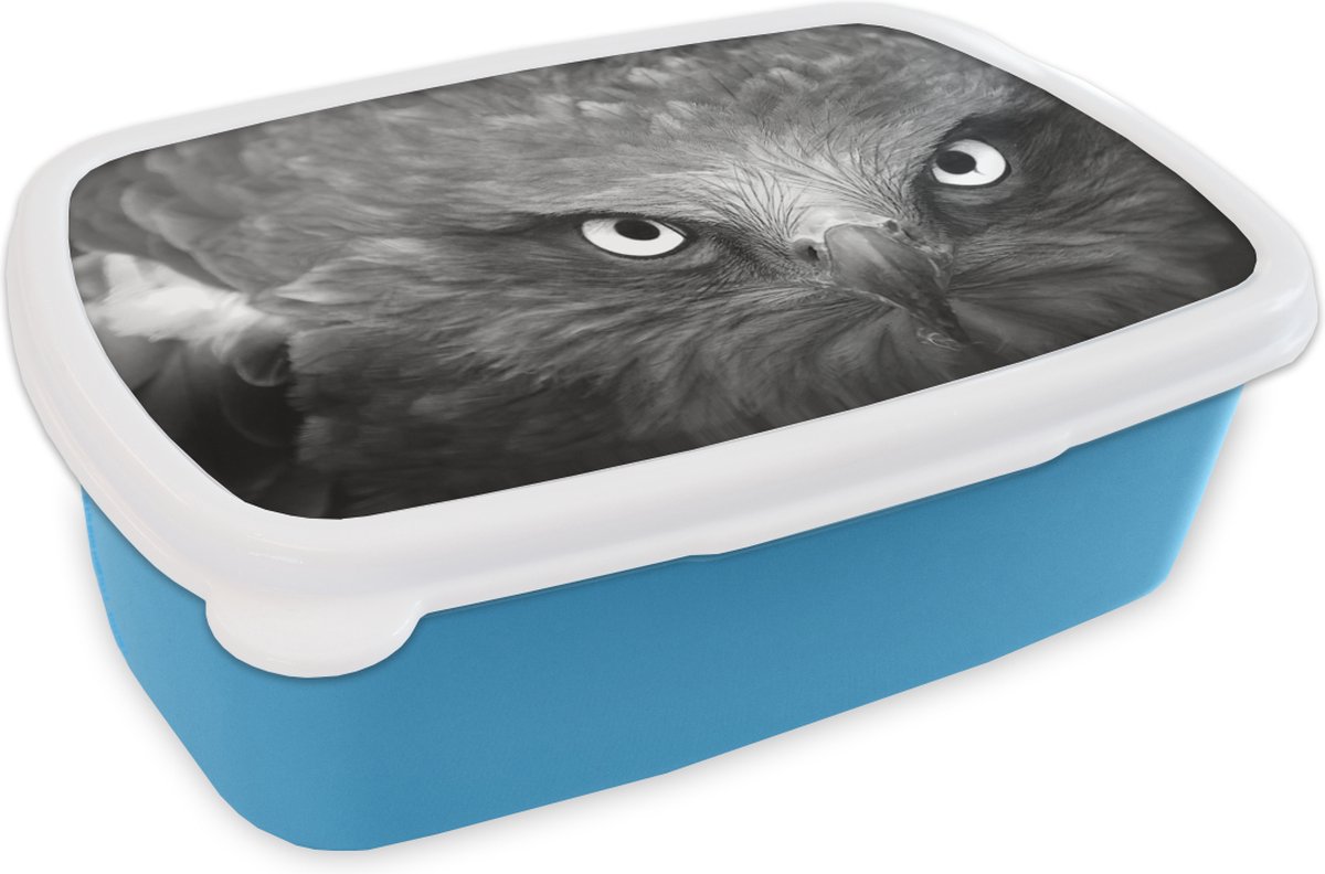 Broodtrommel Blauw - Lunchbox - Brooddoos - Arend - Zwart - Wit - 18x12x6 cm - Kinderen - Jongen