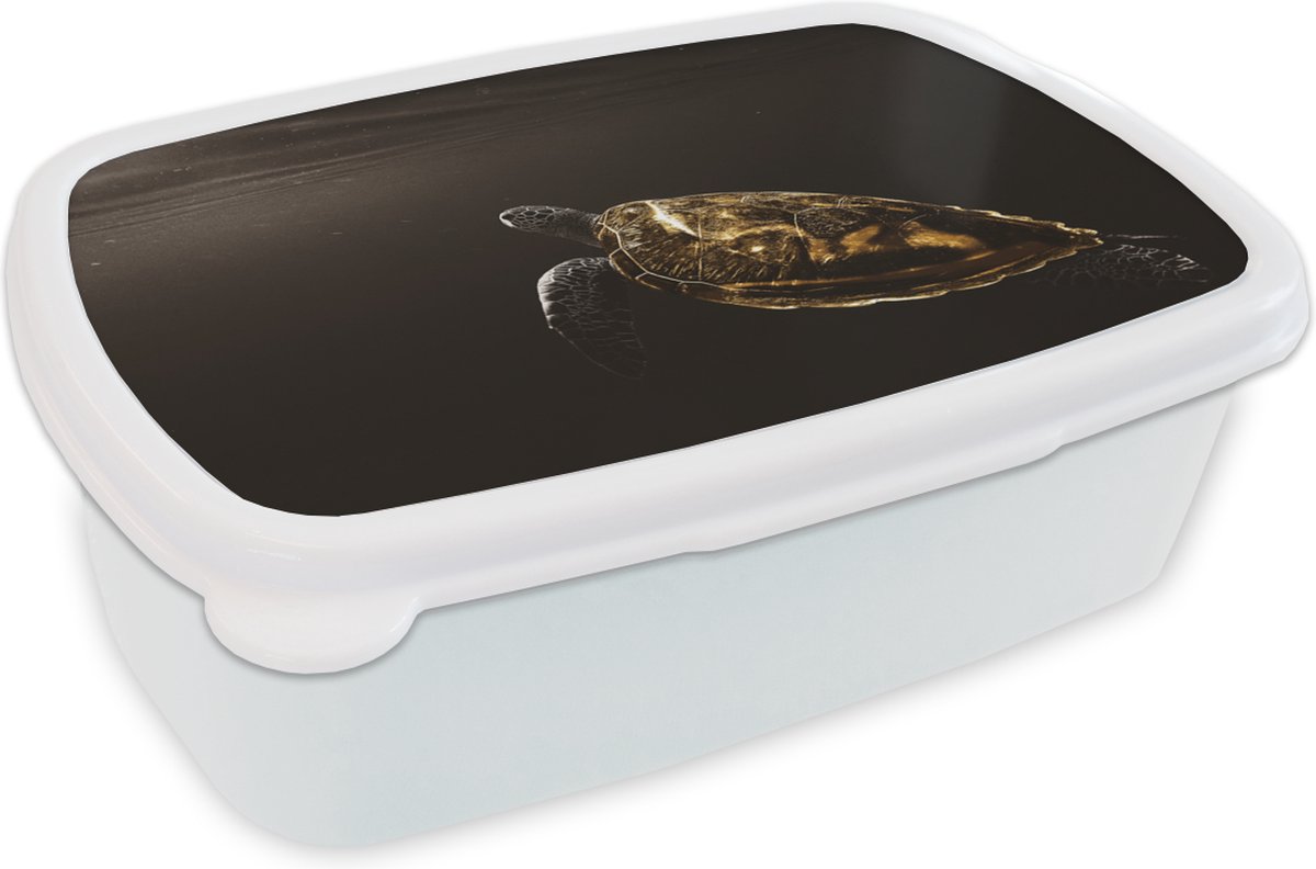 Broodtrommel Wit - Lunchbox - Brooddoos - Schildpad - Zwart - Goud - 18x12x6 cm - Volwassenen