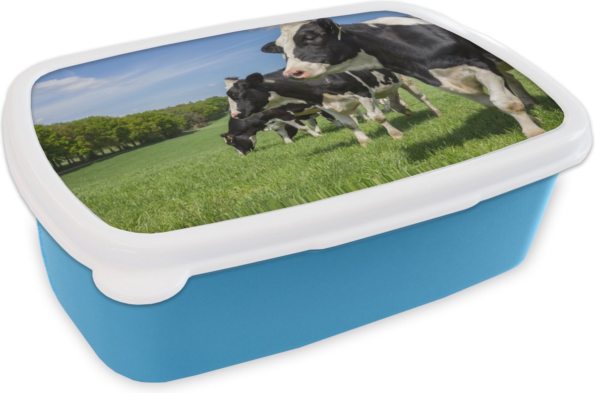 Broodtrommel Blauw - Lunchbox - Brooddoos - Koe - Gras - Weiland - 18x12x6 cm - Kinderen - Jongen