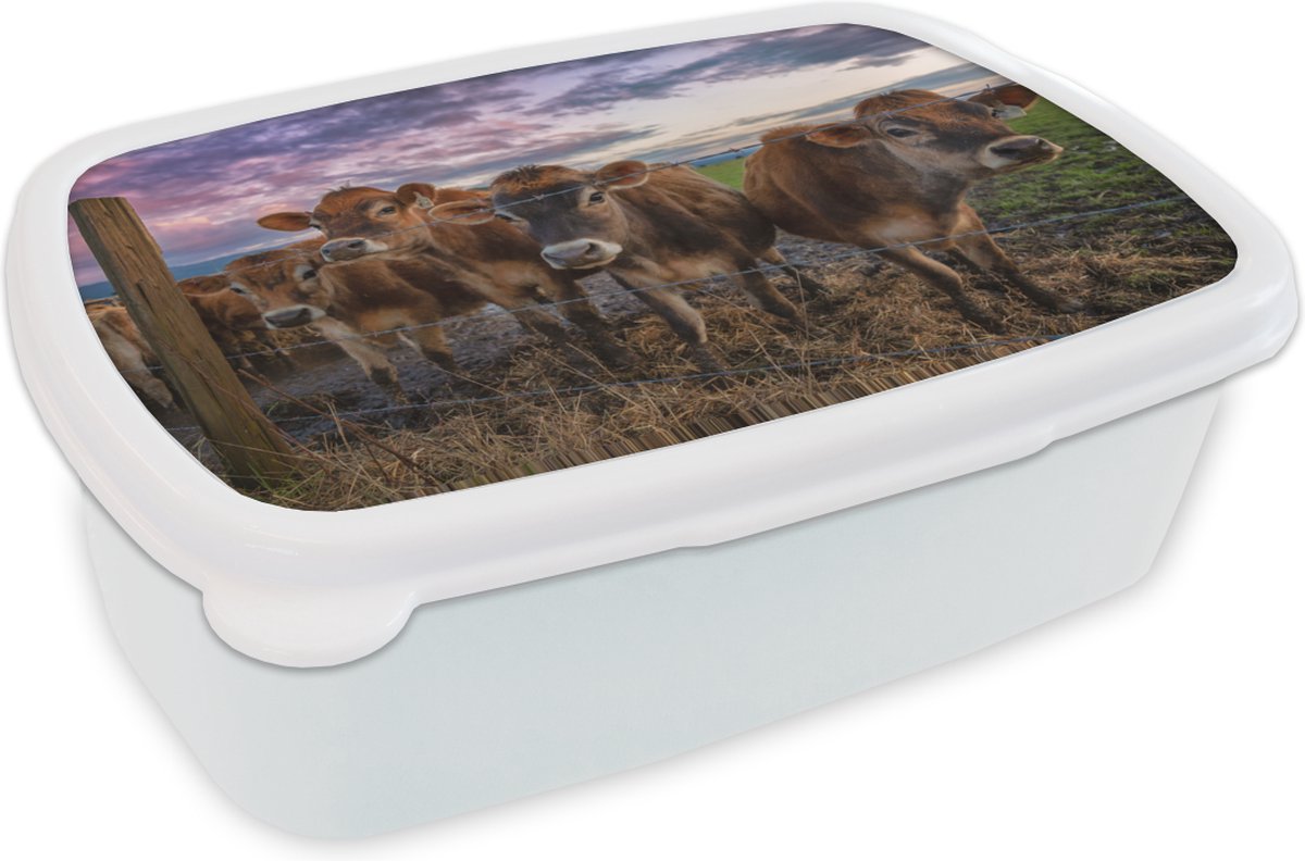 Broodtrommel Wit - Lunchbox - Brooddoos - Koe - Hek - Lucht - 18x12x6 cm - Volwassenen