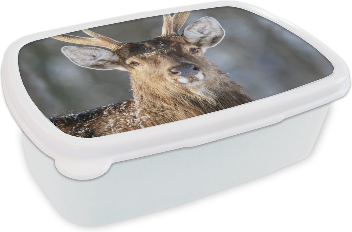 Broodtrommel Wit - Lunchbox - Brooddoos - Hert - Gewei - Bruin - Wit - 18x12x6 cm - Volwassenen