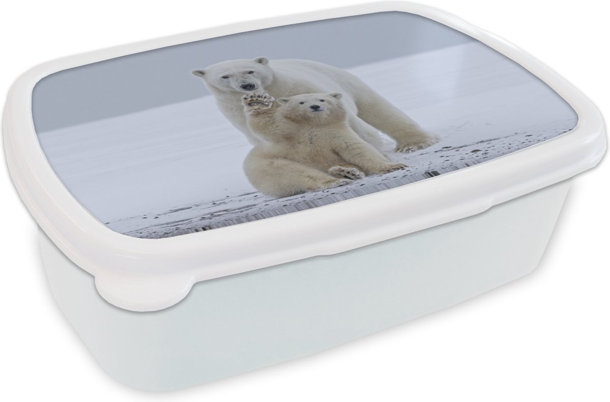 Broodtrommel Wit - Lunchbox - Brooddoos - IJsbeer - Kind - Sneeuw - 18x12x6 cm - Volwassenen