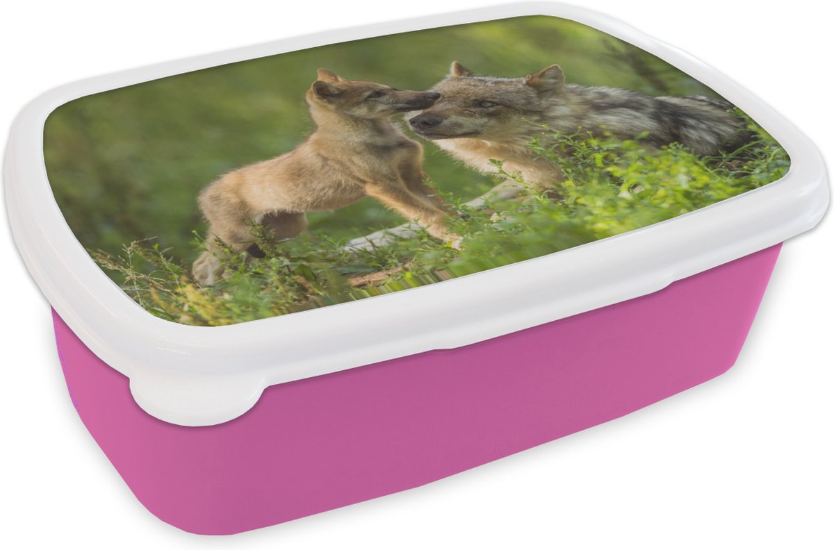 Broodtrommel Roze - Lunchbox - Brooddoos - Wolf - Gras - Welp - 18x12x6 cm - Kinderen - Meisje