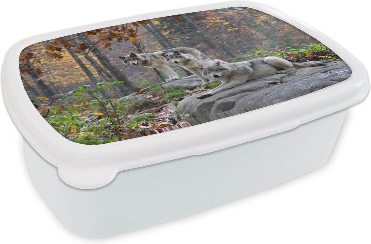 Broodtrommel Wit - Lunchbox - Brooddoos - Wolf - Herfst - Bos - 18x12x6 cm - Volwassenen