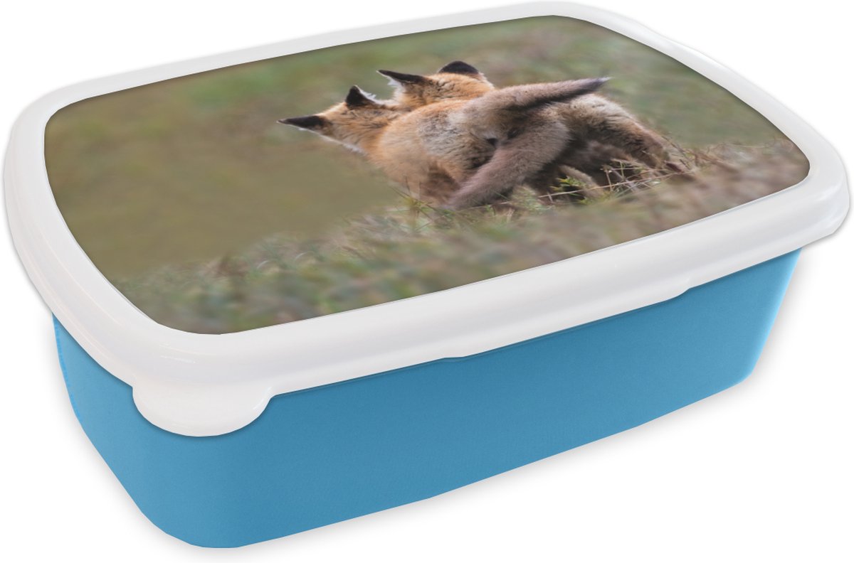 Broodtrommel Blauw - Lunchbox - Brooddoos - Vos - Gras - Dieren - 18x12x6 cm - Kinderen - Jongen