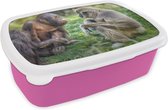 Broodtrommel Roze - Lunchbox - Brooddoos - Aap - Gras - Dieren - 18x12x6 cm - Kinderen - Meisje