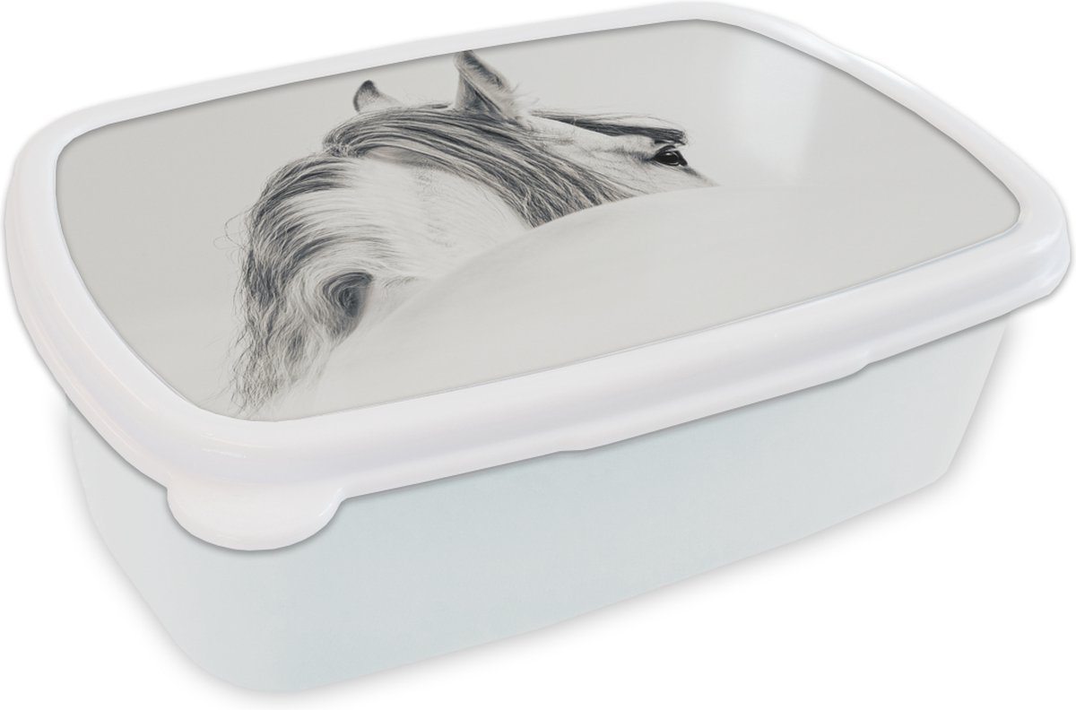 Broodtrommel Wit - Lunchbox - Brooddoos - Paard - Wit - Dier - 18x12x6 cm - Volwassenen
