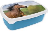 Broodtrommel Blauw - Lunchbox - Brooddoos - Paard - Dier - Manen - Bruin - 18x12x6 cm - Kinderen - Jongen