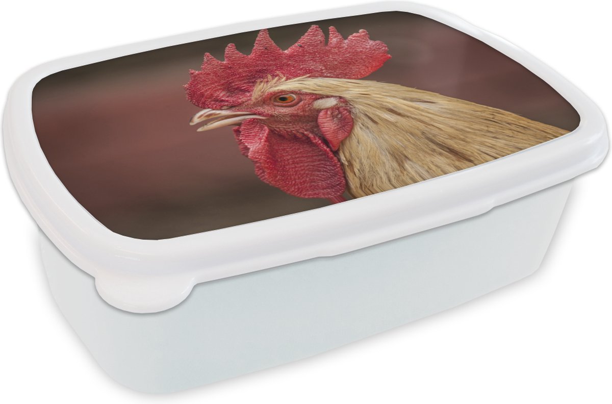 Broodtrommel Wit - Lunchbox - Brooddoos - Dieren - Haan - Rood - 18x12x6 cm - Volwassenen