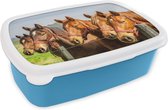 Broodtrommel Blauw - Lunchbox - Brooddoos - Paarden - Hek - Zomer - 18x12x6 cm - Kinderen - Jongen