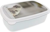 Lunch box Wit - Lunch box - Boîte à pain - Chat - Animal - Salon - 18x12x6 cm - Adultes