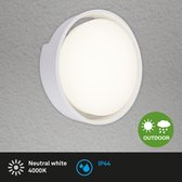 Briloner Leuchten - Led-buitenlamp, buitenlamp, buitenwandlamp, IP44, 6,5 watt, 650 lumen, 4.000 kelvin, roestvrij staa