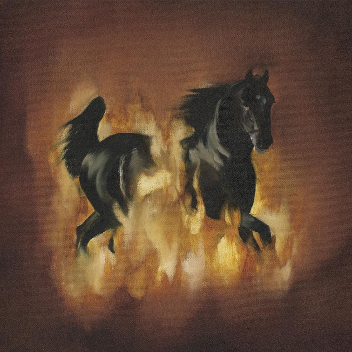 Besnard Lakes - The Besnard Lakes Are The Dark Horse (LP)
