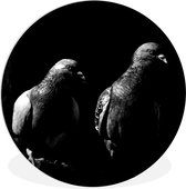 WallCircle - Wandcirkel ⌀ 30 - Twee prachtige duiven op een zwarte achtergrond - zwart wit - Ronde schilderijen woonkamer - Wandbord rond - Muurdecoratie cirkel - Kamer decoratie binnen - Wanddecoratie muurcirkel - Woonaccessoires