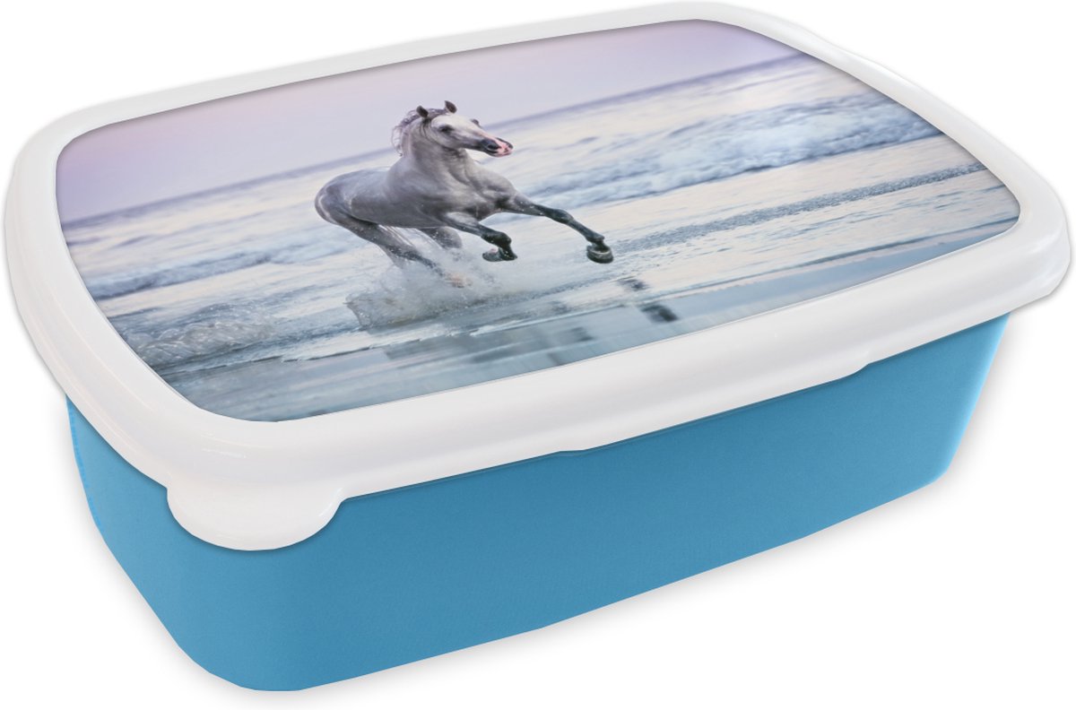 Broodtrommel Blauw - Lunchbox - Brooddoos - Paard - Schimmel - Strand - 18x12x6 cm - Kinderen - Jongen