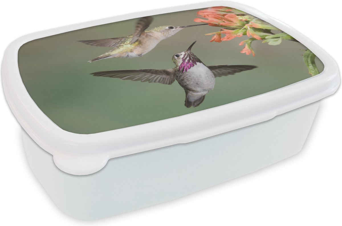 Broodtrommel Wit - Lunchbox - Brooddoos - Kolibrie - Vogels - Bloem - 18x12x6 cm - Volwassenen