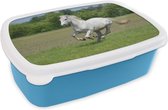 Broodtrommel Blauw - Lunchbox - Brooddoos - Paarden - Natuur - Wit - 18x12x6 cm - Kinderen - Jongen
