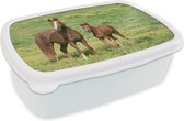 Broodtrommel Wit - Lunchbox - Brooddoos - Paarden - Gras - Bruin - 18x12x6 cm - Volwassenen