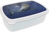 Broodtrommel Wit - Lunchbox - Brooddoos - Grote witte haai - 18x12x6 cm - Volwassenen