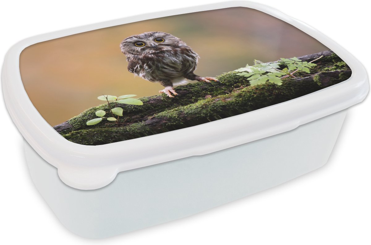 Broodtrommel Wit - Lunchbox - Brooddoos - Kleine uil - 18x12x6 cm - Volwassenen