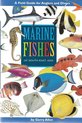 Marine Fishes of Southeast Asia; A Field Guide for Anglers and Divers