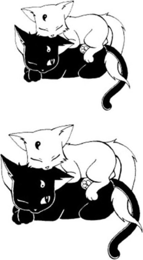 Tatouage Temporaire Transferable A L Eau Chat Noir Et Blanc 60x105mm Bol Com