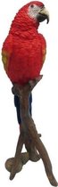 Dierenbeelden rode papegaai op stam - Decoratie beeldje rode papegaai 30 cm