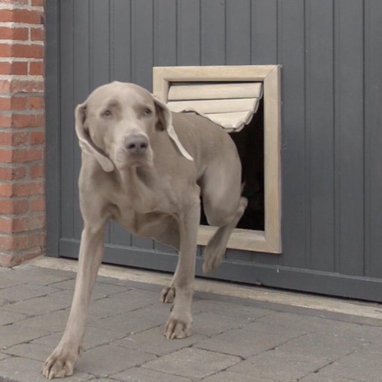 Tomsgates Bouncer | Houten Hondenluik voor Grote Honden | Naturel afgewerkt  | 28 x 40... | bol.com