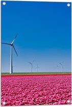 Tuinposter – Bloemen - Bloemenveld - Tulpen - Landschap - Windmolens - Nederland - Kleuren - 50x75 cm Foto op Tuinposter (wanddecoratie voor buiten en binnen)