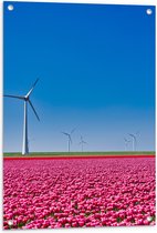 Tuinposter – Bloemen - Bloemenveld - Tulpen - Landschap - Windmolens - Nederland - Kleuren - 60x90 cm Foto op Tuinposter (wanddecoratie voor buiten en binnen)