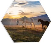 PVC Schuimplaat Hexagon - Paarden in Weiland met Zonsopgang - 40x34.8 cm Foto op Hexagon (Met Ophangsysteem)