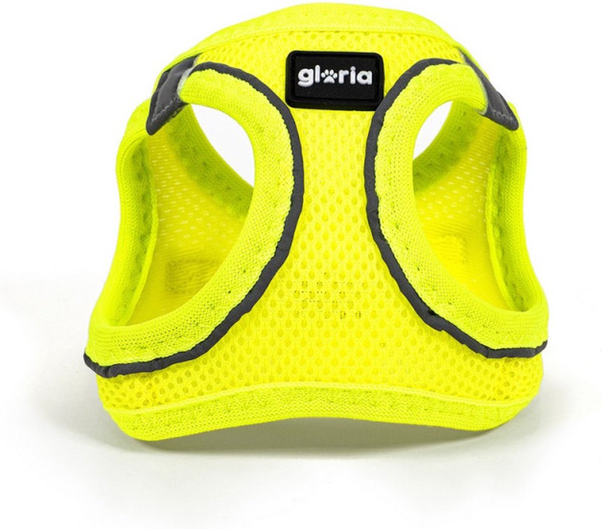 Gloria