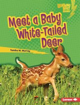 Lightning Bolt Books ® — Baby North American Animals - Meet a Baby White-Tailed Deer