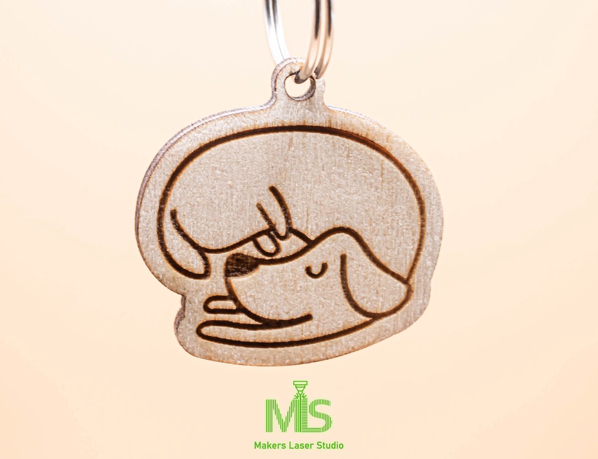 Bol.com Houten sleutelhanger/ sleutelhanger hond/ Gepersonaliseerde hondenpenning, gepersonaliseerde kattenpenning, Custom Pet N... aanbieding