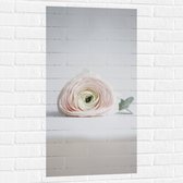 Muursticker - Bloem - Liggend - Wit - Roze - 50x100 cm Foto op Muursticker