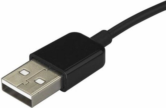 StarTech.com Adaptateur DVI vers DisplayPort avec alimentation USB - 1920 x 1200