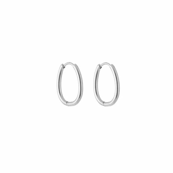 Bijoutheek Boucles d'oreilles Ovale petit Argent