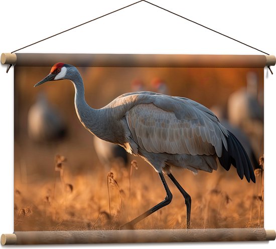 Textielposter - Kraan vogel loopt door natuur gebied heen met zijn groep op de achtergrond - 60x40 cm Foto op Textiel