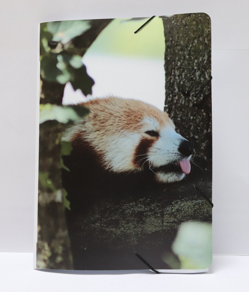Animal Academy Belgium - Elastomap - Rode Panda - Plasticmap - A4