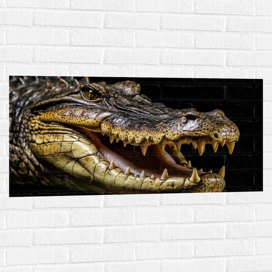 Muursticker - Krokodil opent zijn bek en laat tanden zien voor zwarte achtergrond - 100x50 cm Foto op Muursticker