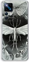 Haeckel Tineida