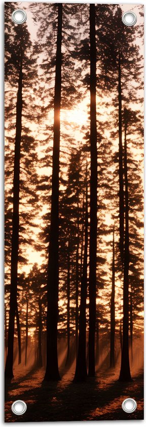 Tuinposter – Felle Zonnestralen van Zonsondergang door Silhouetten van Smalle Bomen - 20x60 cm Foto op Tuinposter (wanddecoratie voor buiten en binnen)