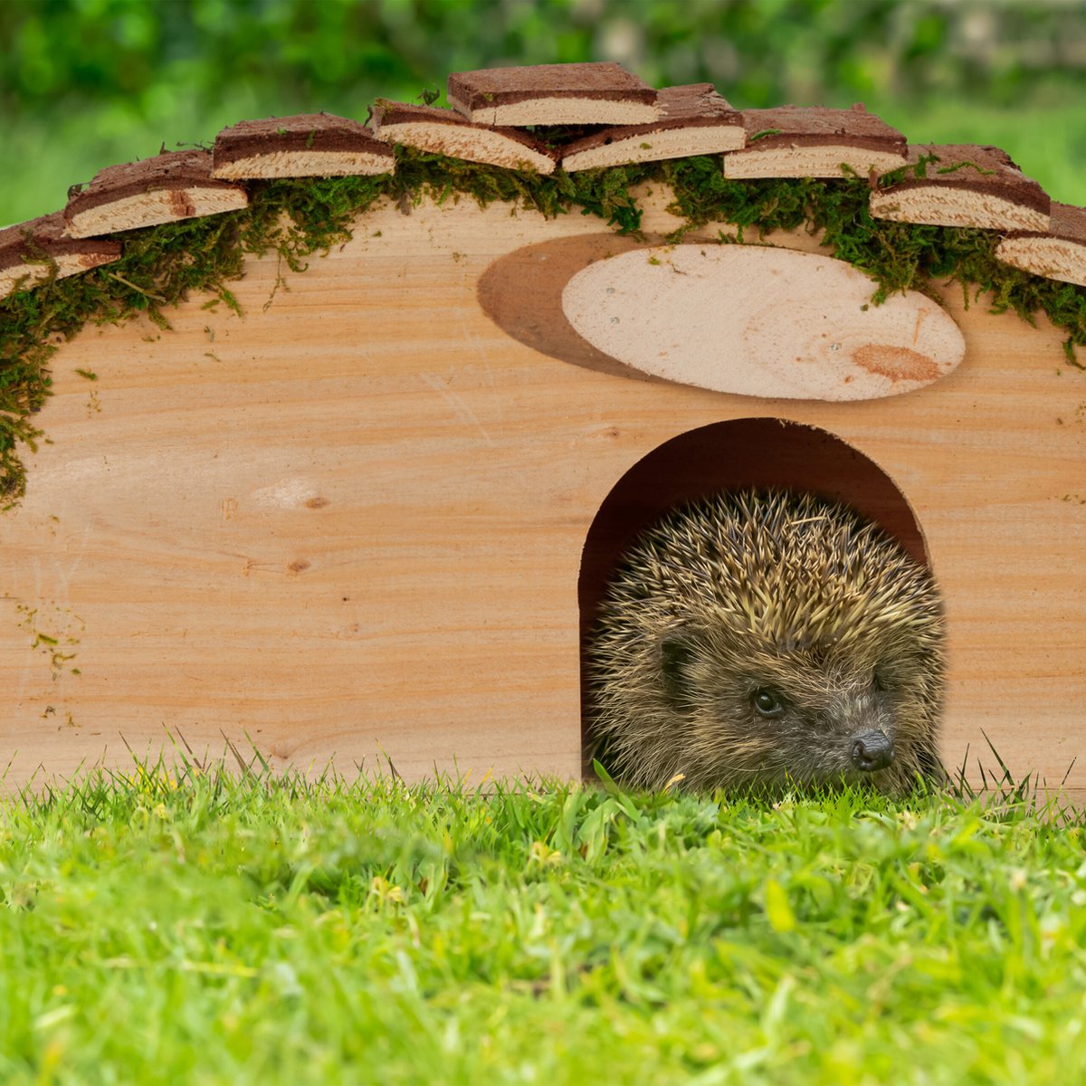 Relaxdays egelhuis met bodem houten egelhotel egelwoonhuis tuin egel voederhuisje